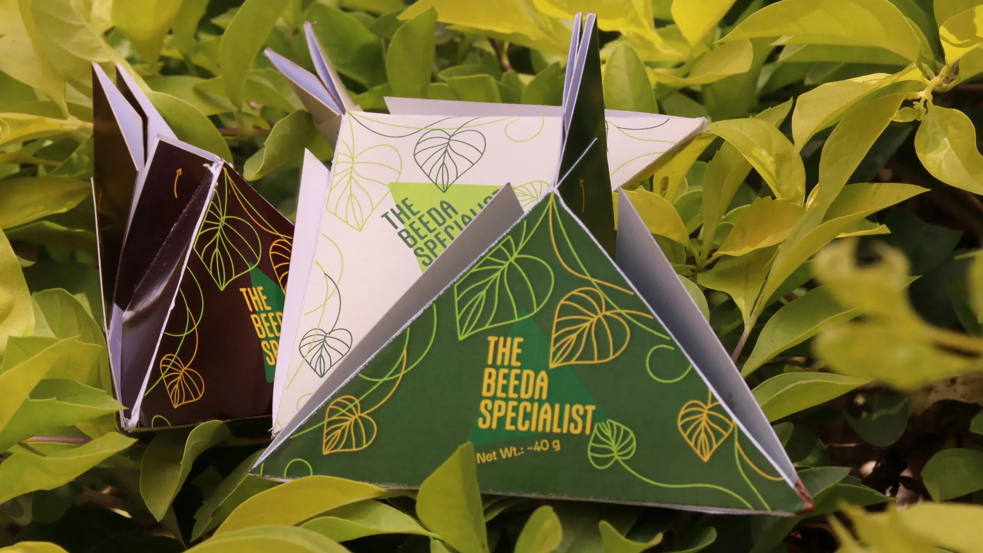 The three pyramid packs standing among bright green leaves